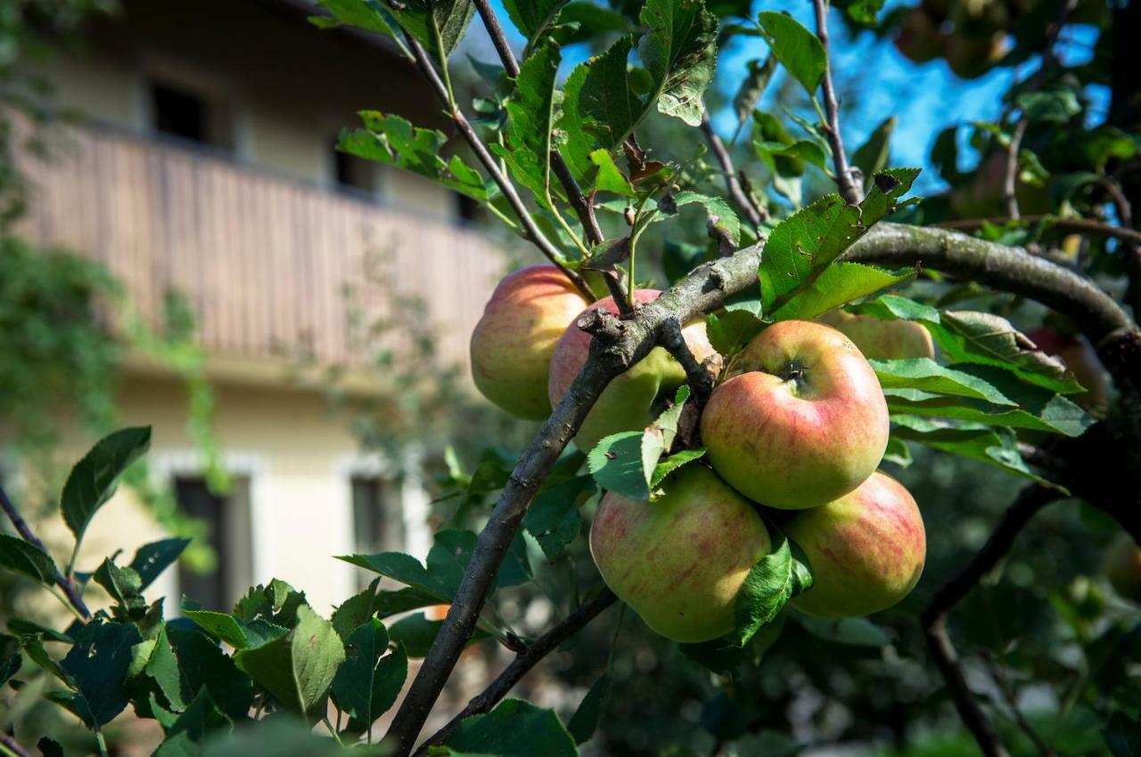 Villa Pr'Jernejc Agroturism Lesce  Exterior foto